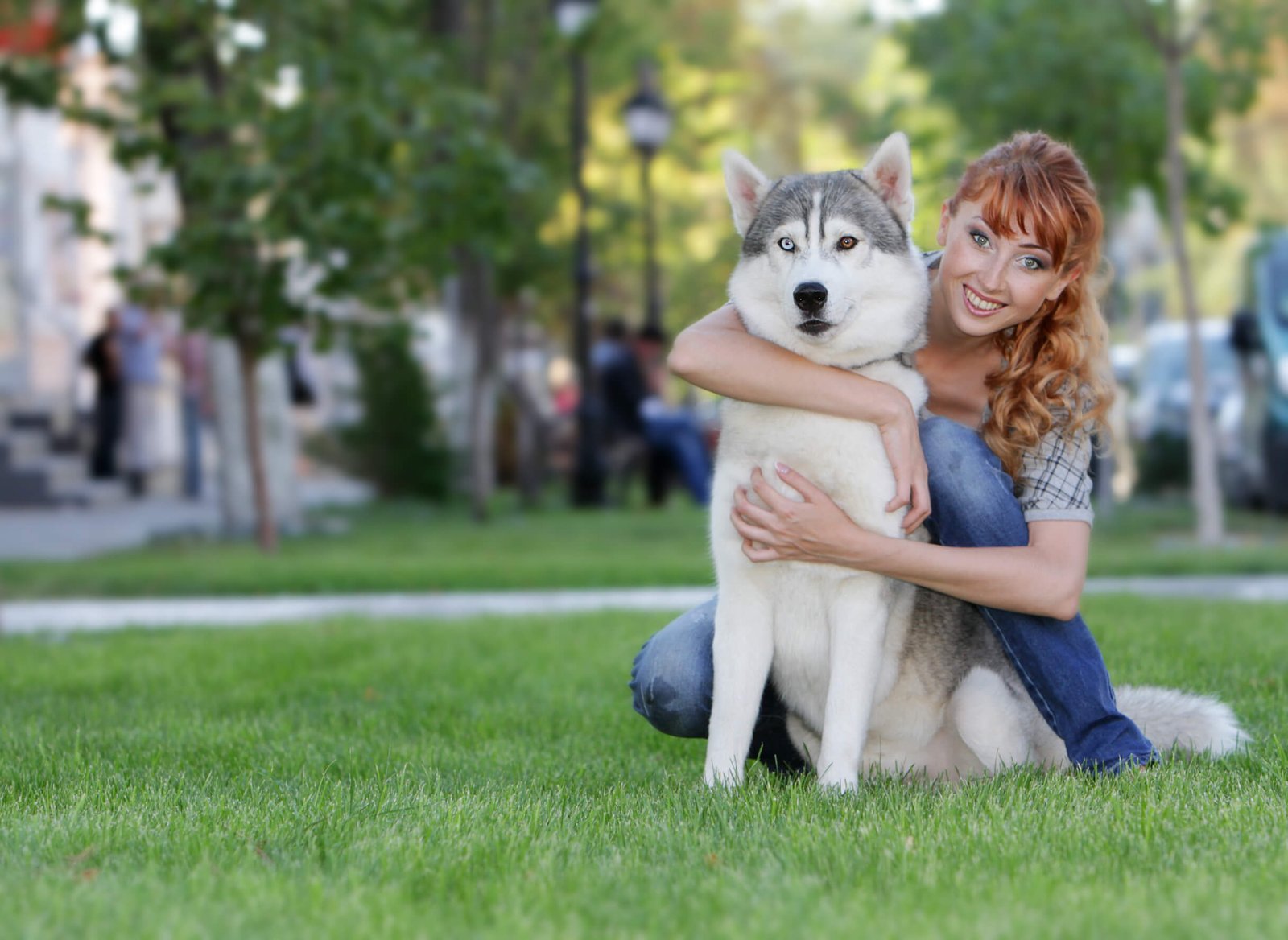 Dog img
